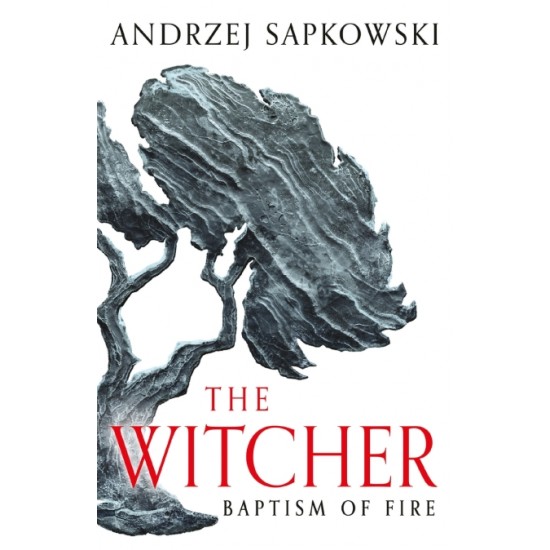 THE WITCHER 3: BAPTISM OF FIRE N/E