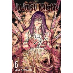 JUJUTSU KAISEN, VOL. 6 PA