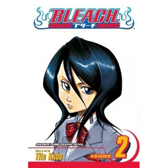 BLEACH 02  PA