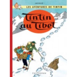 LES AVENTURES DE TINTIN 20: TINTIN AU TIBET RELIÉ