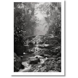 SEBASTIÆO SALGADO. AMAZ“NIA. POSTER 'CREEK' HC