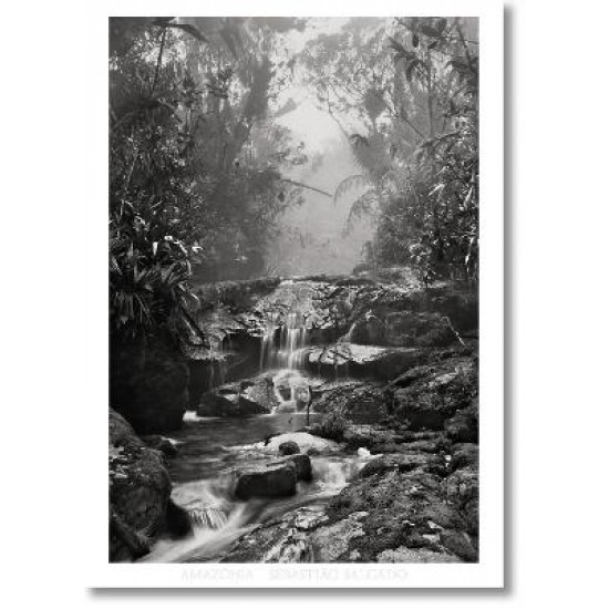 SEBASTIÆO SALGADO. AMAZ“NIA. POSTER 'CREEK' HC