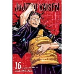 JUJUTSU KAISEN, VOL. 16 PA