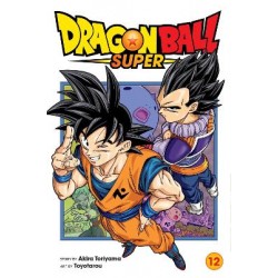 DRAGON BALL SUPER, VOL. 12 PA