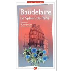 LE SPLEEN DE PARIS