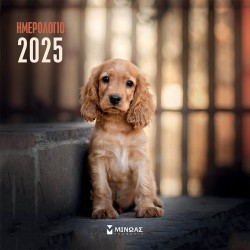 ΗΜΕΡΟΛΟΓΙΟ 2025 (ΤΟΙΧΟΥ): ΣΚΥΛΑΚΙΑ