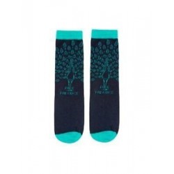 PRIDE AND PREJUDICE SOCKS - SMALL