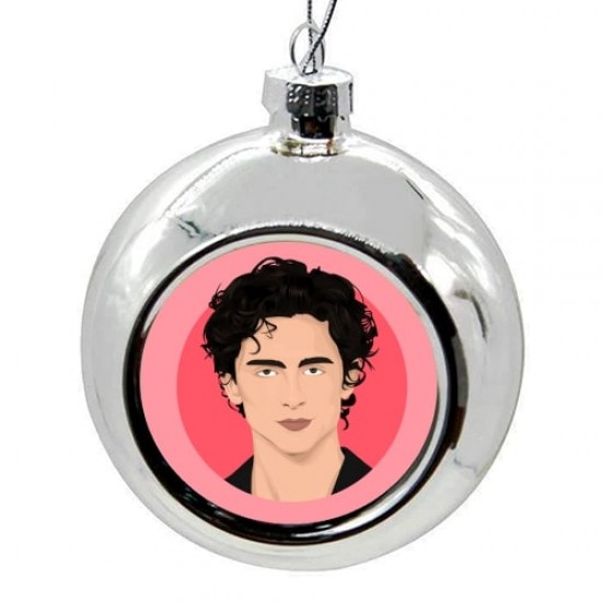 ΧΡΙΣΤΟΥΓΕΝΝΙΑΤΙΚΗ ΜΠΑΛΑ: TIMOTHÉE CHALAMET