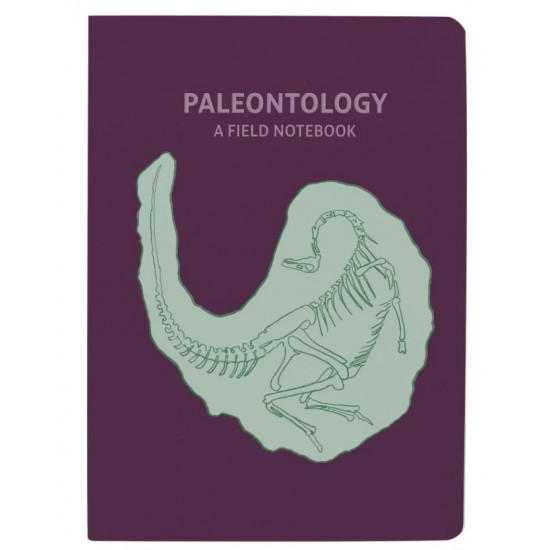 PALEONTOLOGY NOTEBOOK