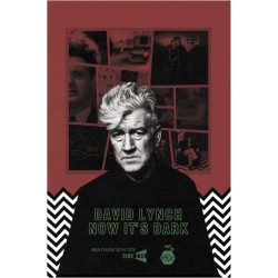 DAVID LYNCH NOW IT'S DARK