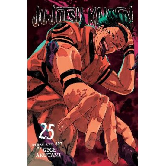 JUJUTSU KAISEN, VOL. 25 PA