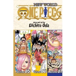 ONE PIECE OMNIBUS VOL. 29 PA