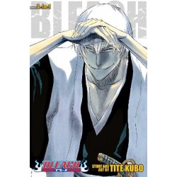 BLEACH: 3-IN-1 ED V07 PA : INCLUDES VOLS. 19, 20 & 21
