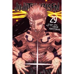 JUJUTSU KAISEN, VOL. 29 PA