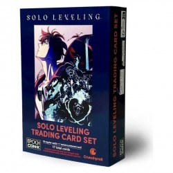 CON-X SOLO LEVELING