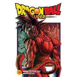 DRAGON BALL SUPER, VOL. 18 PA