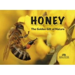 HONEY THE GOLDEN GIFT OF NATURE
