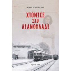 ΧΙΟΝΙΣΕ ΣΤΟ ΛΙΑΝΟΚΛΑΔΙ