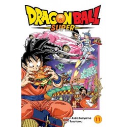 DRAGON BALL SUPER, VOL. 11 PA