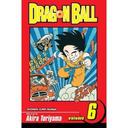 DRAGONBALL 06 PA