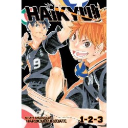 HAIKYU!! 3-IN-1 EDITION 01 PA