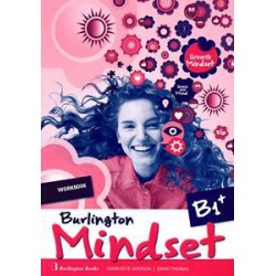 MINDSET B1 PLUS  WORKBOOK