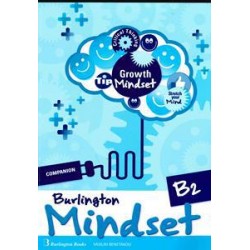 MINDSET B2 COMPANION