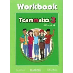TEAMMATES 3 WORKBOOK